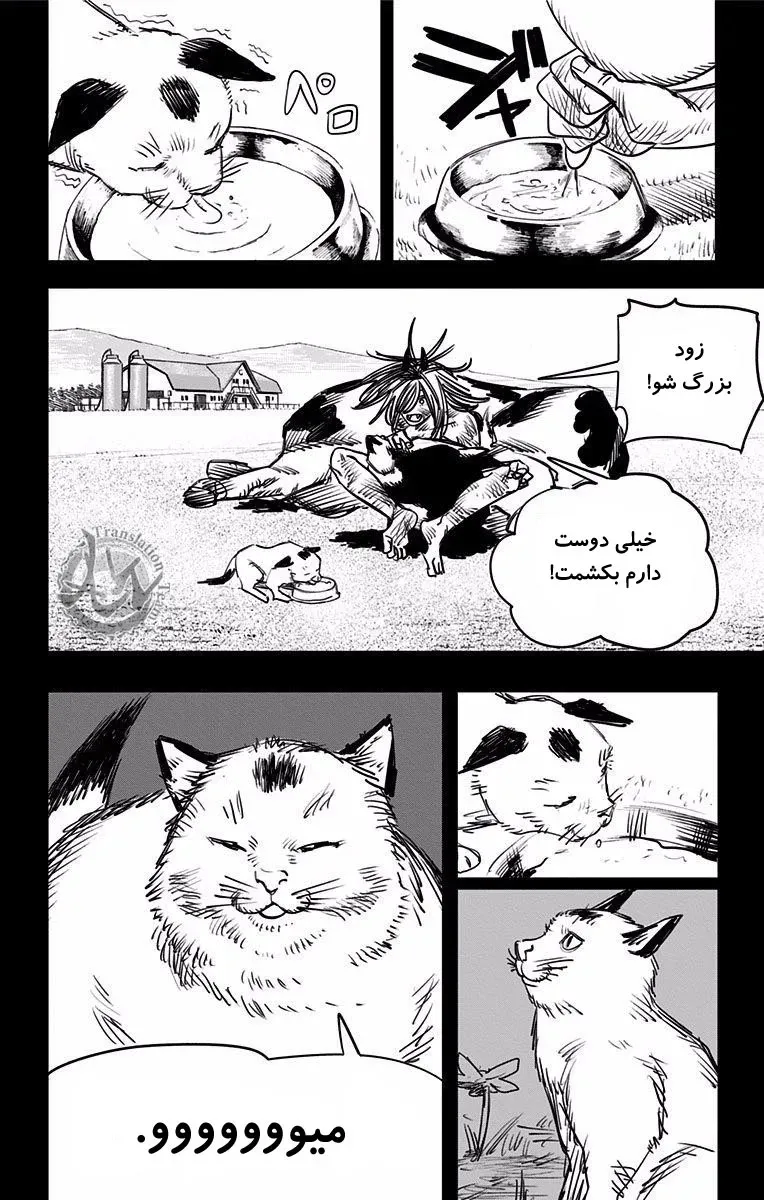 صفحه 6
